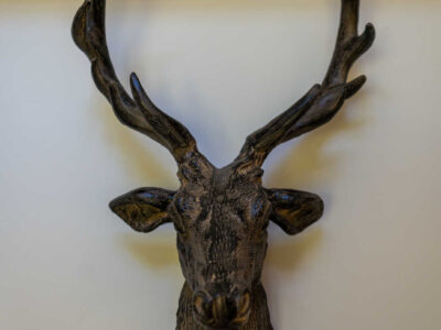 Deer head decor - Birch Cleave Barns - Somerset Dog Friendly Cottages