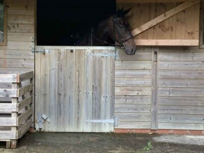 Birch Cleave Barns - Somerset Dog Friendly Cottages - Stabling for bringing your horse on holiday!
